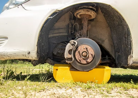 ITI Control Arm Skate | Zips | ITCASY6 | 19" L x 5.5" W x 5.5" H | Made in The USA